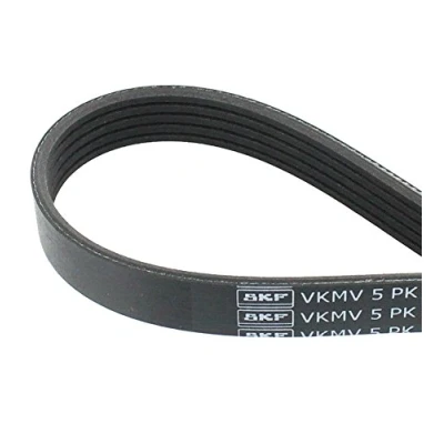 Afbeelding van Skf Poly V riem VKMV 5PK1175