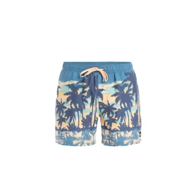 Afbeelding van Quiksilver Everyday Straight Zwemshorts, Heren, Maat: Small, Blq