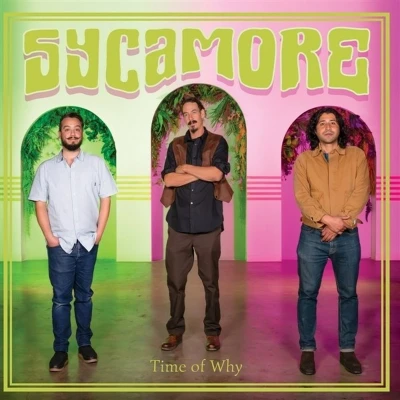 Afbeelding van Sycamore Time of Why (LP)