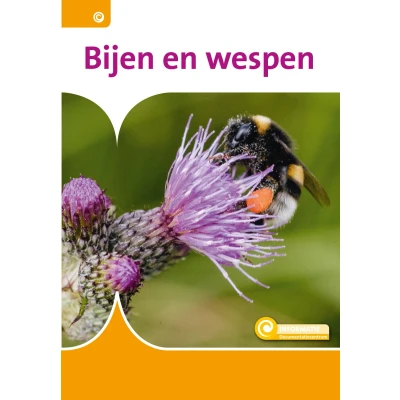 Afbeelding van Bijen en wespen