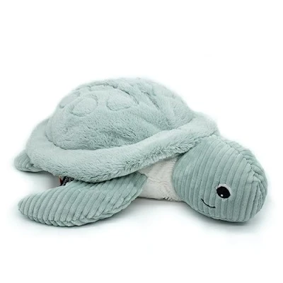 Image de PTIPOTOS Sauvenou tortue geante menthe