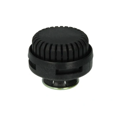 Afbeelding van Dt Spare Parts Geluidsdemper pneumatisch systeem 1.18361