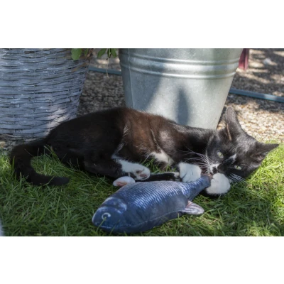 Afbeelding van Robocat Karper
