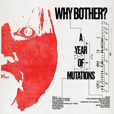 Afbeelding van Why Bother? A Year of Mutations (LP)