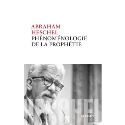 Afbeelding van Phenomenologie de la prophetie