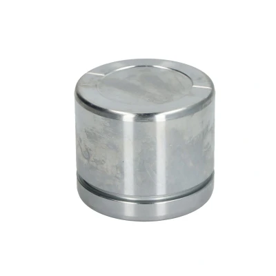Afbeelding van Zuiger, remklauw AUTOFREN SEINSA D025599