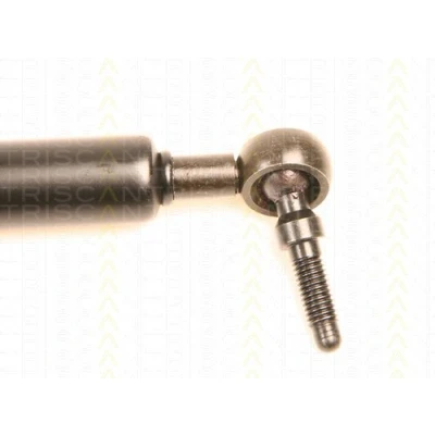 Afbeelding van Triscan Gasveer 8710 80200