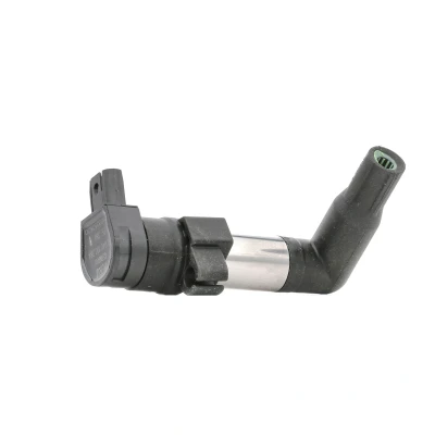 Afbeelding van BERU ZS384 Bobine 12