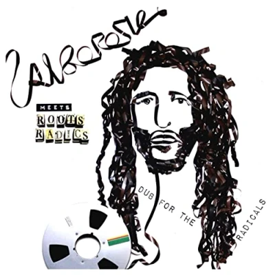 Afbeelding van Alborosie Meets Roots Radics