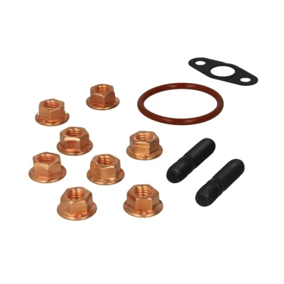 Afbeelding van Reinz Turbolader montageset 04 10041 01