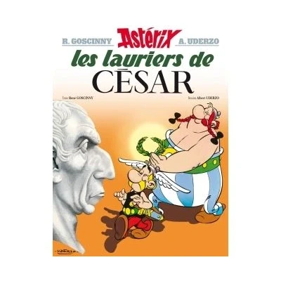 Image de Astérix Les Lauriers de César n18