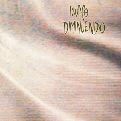 Afbeelding van Lowlife Diminuendo + Singles (CD)