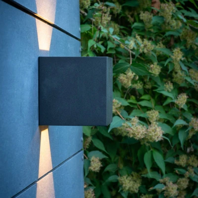 Afbeelding van Dyberg Larsen Venus LED buitenwandlamp