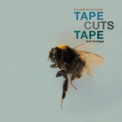 Afbeelding van Tape Cuts Lost Footage (LP)