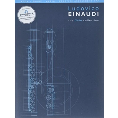 Afbeelding van Ludovico Einaudi