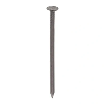 Afbeelding van Draadnagel. platkop. blank. 3.0 x 65 mm. lang. 1500 gram spijkers. Deltafix.