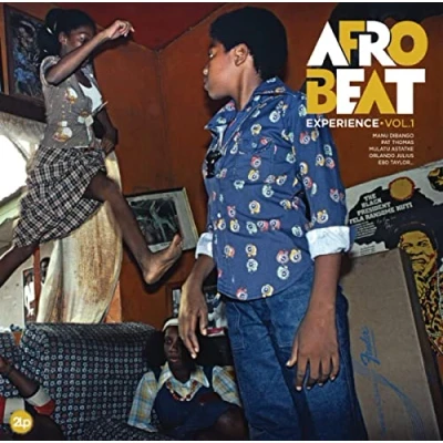 Afbeelding van Various Artists Afrobeat Experience Vol. 1 (2 LP)