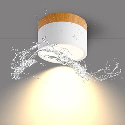 Afbeelding van Temgin plafondlamp, led spot, 12 W, IP65, downlight, 3000 K, 1080 lm, plafondspot, Ø 11 cm, aluminium, woonkamer, wit, spots, warmwit, voor hal, slaapkamer, badkamer, keuken