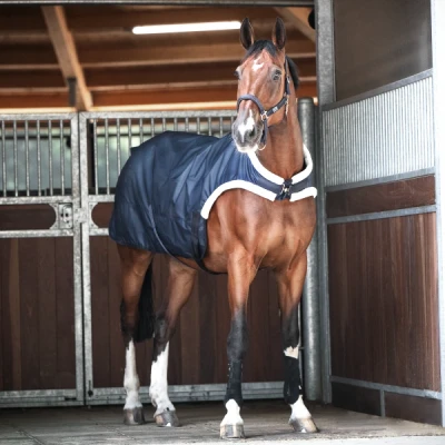 Image de Busse Walker rug Trainer 50