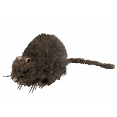 Afbeelding van Boland Decoratie Rat Horror