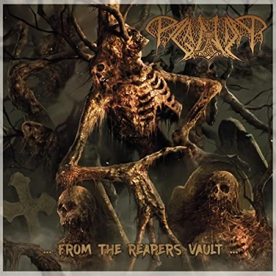 Afbeelding van Paganizer From the Reapers Vault (LP)