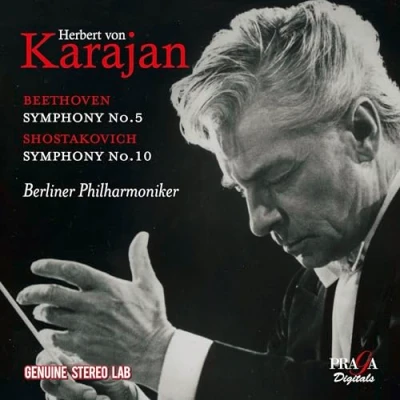 Afbeelding van Berliner Philharmoniker Symphony No 5 10 (CD)
