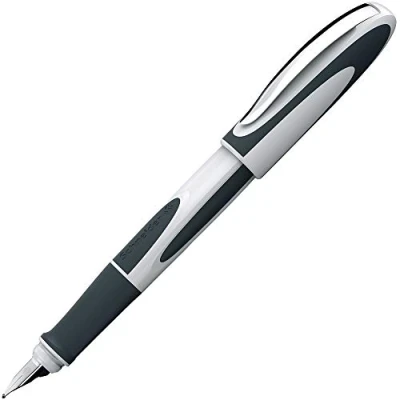 Afbeelding van Schneider S 168249 Vulpen Ray M Grijs/Wit