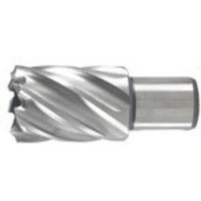 Afbeelding van Kernboor 50X30 Mm