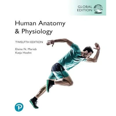 Afbeelding van Human Anatomy &amp; Physiology, Global Edition