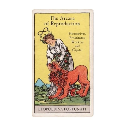 Afbeelding van The Arcana of Reproduction
