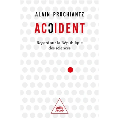 Image de Accident