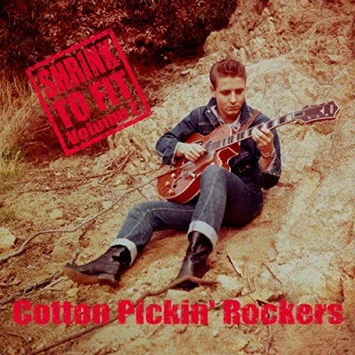 Afbeelding van Various Artists Shrink To Fit, Volume 2 (CD)