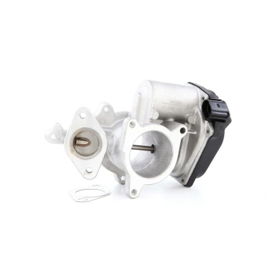 Afbeelding van Hella EGR klep 6NU 010 171 291