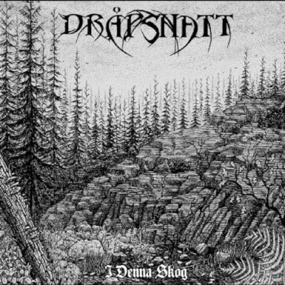 Afbeelding van I Denna Skog