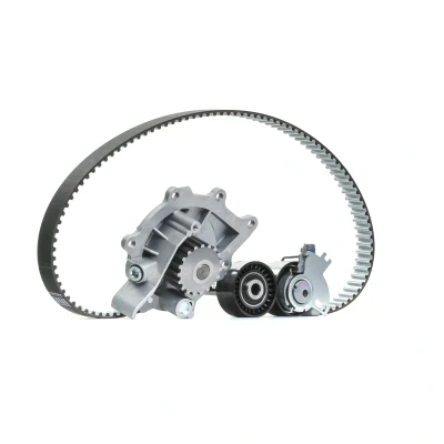 Afbeelding van Ina Distributieriem kit incl.waterpomp 530 0691 30