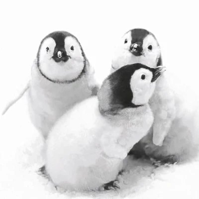 Afbeelding van 20 stuks papieren servetten pinguïn vrienden dieren winter Kerstmis tafeldecoratie 33 x cm