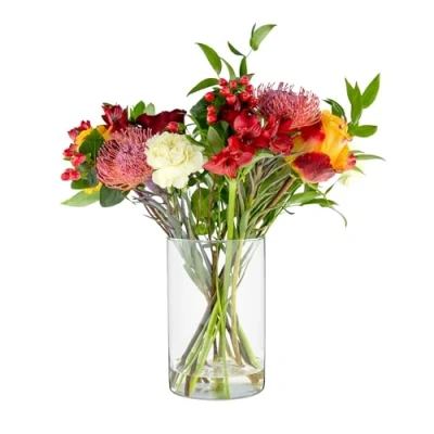 Afbeelding van Bloemenvaas, 21.5 cm, glazen vaas, cilinder tulpenvaas, grote decoratieve met bodem, kaarsglazen, vazen, helder glas, rond, 13.5 fleur