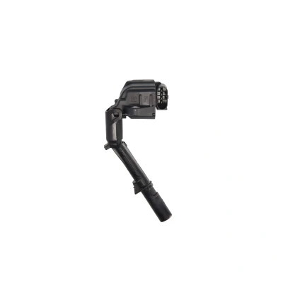 Afbeelding van Bobine DELPHI GN10690 12B1