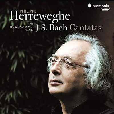 Afbeelding van Collegium Vocale Gent, Philippe Herrewghe Bach Cantatas (17 CD)