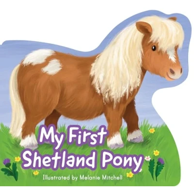 Afbeelding van Wee Kelpies My First Shetland Pony