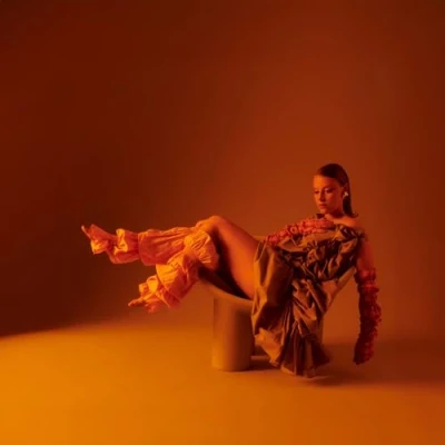 Afbeelding van Allysha Joy The Making of Silk (LP)