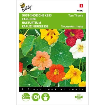 Afbeelding van Tropaeolum majus Tom Thumb gemengd Buzzy