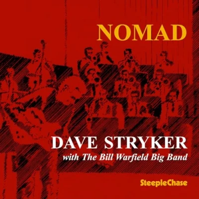Afbeelding van Dave Stryker Nomad (CD)