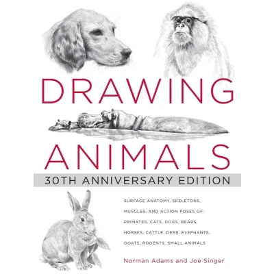 Afbeelding van Drawing Animals