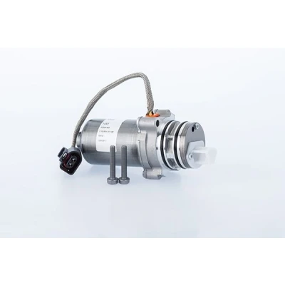 Afbeelding van BorgWarner DS2010676 Pomp, lamellenkoppeling 4 wielaandrijving
