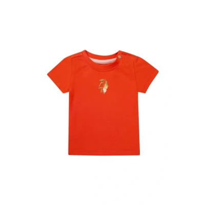 Afbeelding van Noppies T shirt Minkler Baby Maat 62