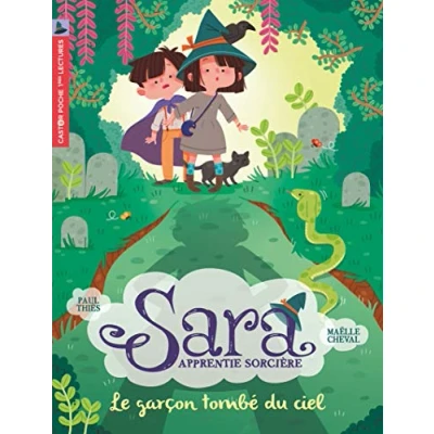 Afbeelding van Sara apprentie sorciere,01:le garcon tombe du ciel