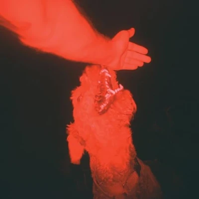 Afbeelding van Eli Winter A Trick Of the Light (LP)