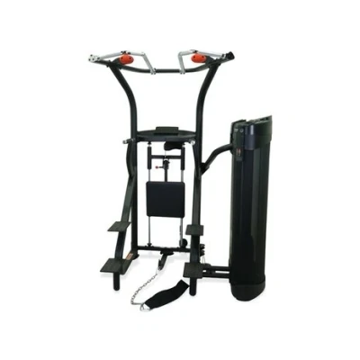 Afbeelding van Inspire Fitness DUAL Station Chin Up DMCD Gratis Montage