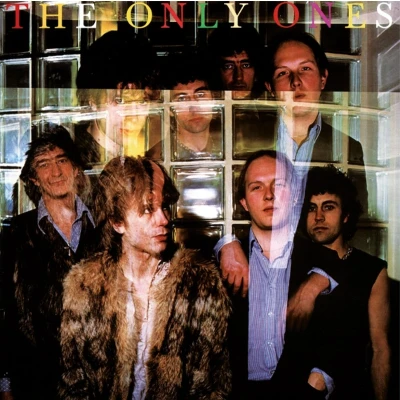 Afbeelding van Only Ones The (LP)